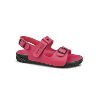 CAPRI-26 (19-34)